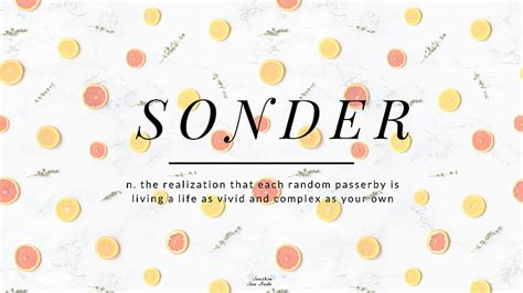 sonder 意思